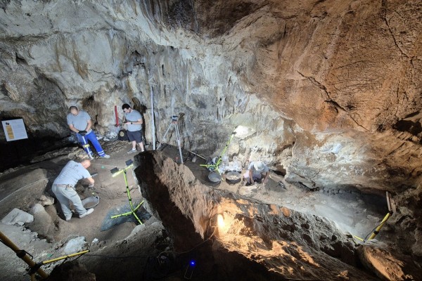Reabre la Cova de l'Or de Beniarrés con más espacio expositivo y mejor musealización 