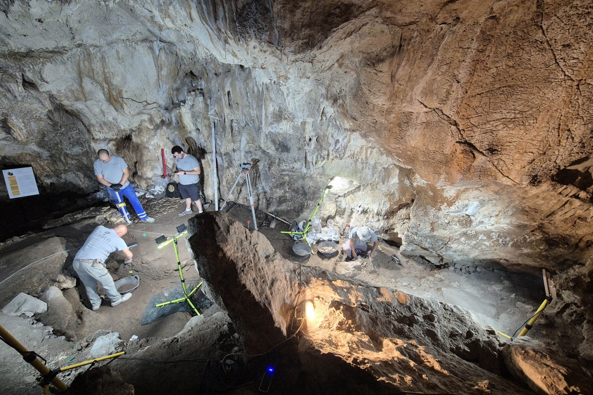Reabre la Cova de l'Or de Beniarrés con más espacio expositivo y mejor musealización 