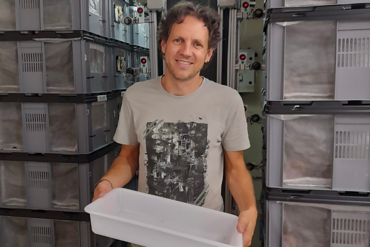 Una técnica pionera reduce hasta un 80 por ciento las poblaciones de mosquito tigre en la Comunidad Valenciana