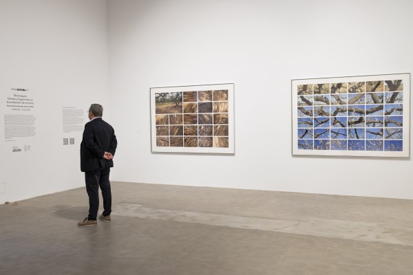 Un museo ‘online’ para dar a conocer la Colección José Luis Soler