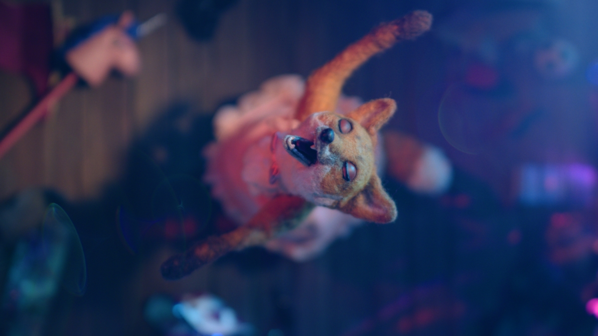 El cine raro, invertido y ‘queer’ tiene su festival en València