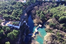 El Consorcio Río Mijares actúa sobre cinco árboles que afectan a propiedades privadas en Vila-real