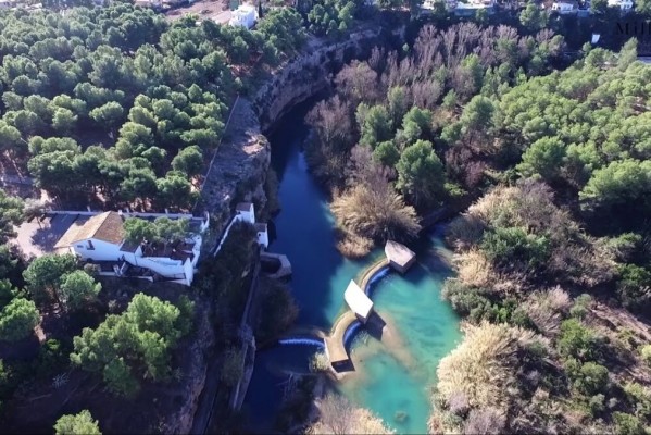 El Consorcio Río Mijares actúa sobre cinco árboles que afectan a propiedades privadas en Vila-real