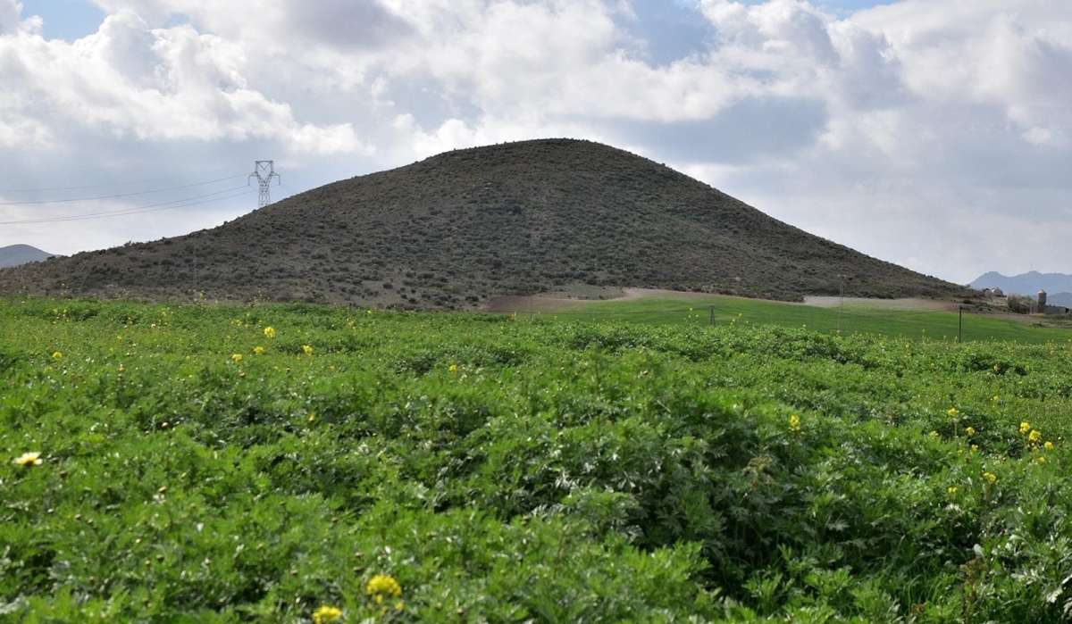 Rural Transition Labs: energía solar y agricultura se combinan en el nuevo plan municipal de Cartagena en Campo Nubla