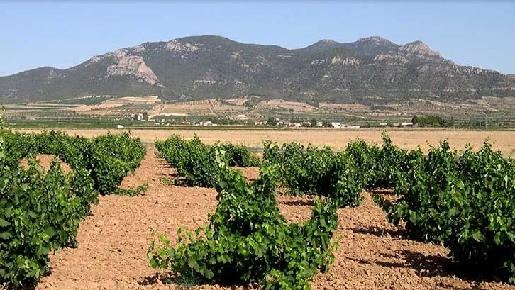 Ruta del Carche - Foto: Turismo Región de Murcia. Ruta del Carche