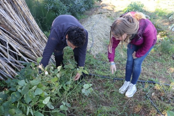 Vila-real fomenta la agricultura ecológica con un nuevo curso de agroecología y sostenibilidad