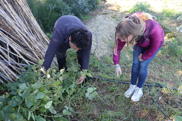 Vila-real fomenta la agricultura ecológica con un nuevo curso de agroecología y sostenibilidad