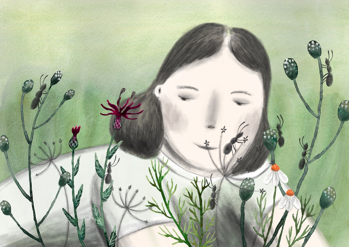 La invasió de formigues II