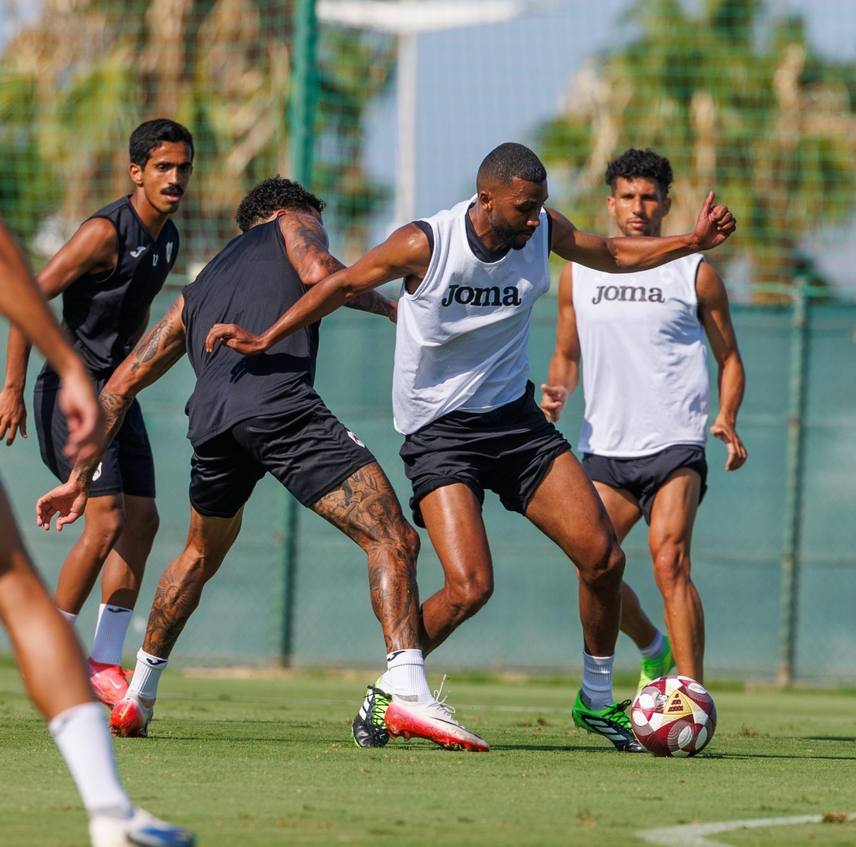  - Foto: PINATAR ARENA