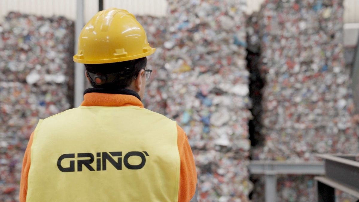 Grupo Griñó cierra 2024 con más de 200 millones de facturación