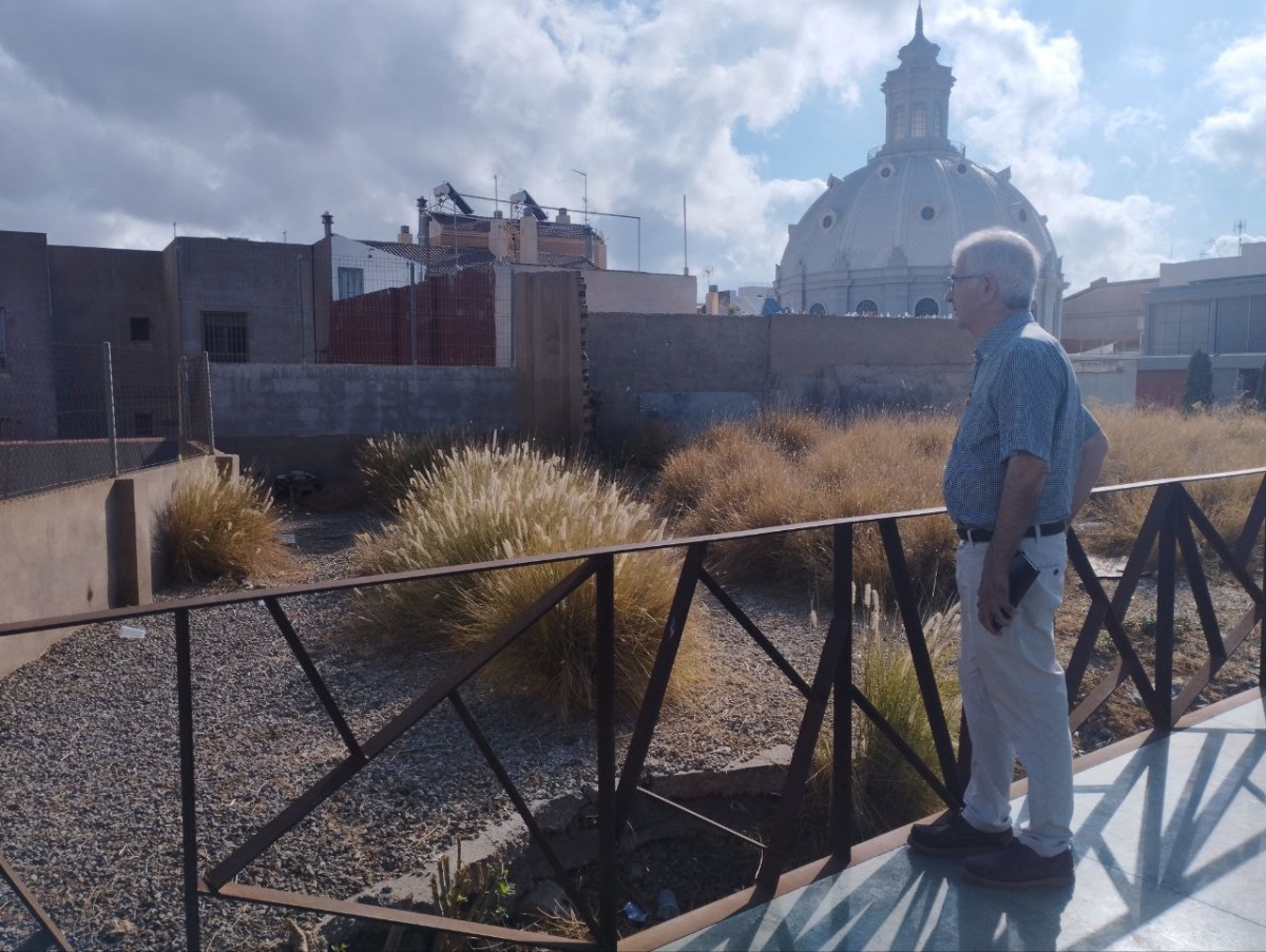 MC denuncia que una planta invasora africana coloniza parques y jardines de Cartagena