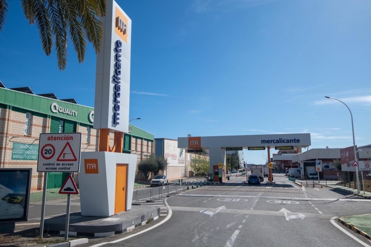De Mercalicante al Puerto: Alicante apura su suelo industrial con 720.000 metros para empresas