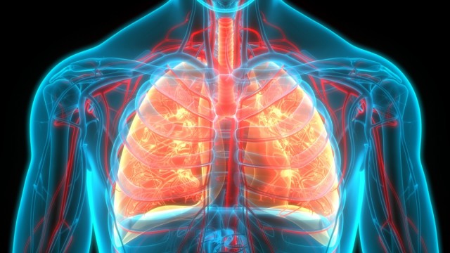 “La fibrosis pulmonar sigue siendo una gran desconocida”: impulsan una vía rápida para su diagnóstico precoz