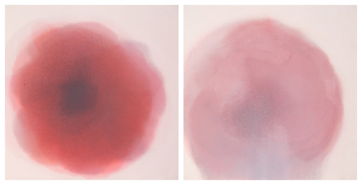 Nuria Vidal despliega 'Un espacio sin estragos' en la galería Alba Cabrera