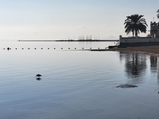 La historia del Mar Menor 'sale a la luz' de la mano de Los Alcázares