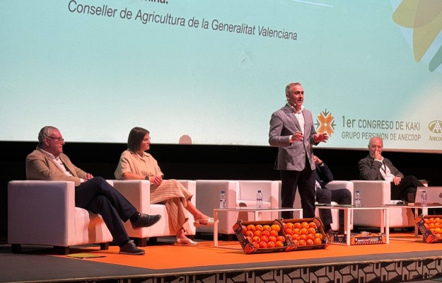 Agricultura concede 1,7 millones para paliar pérdidas por el cotonet en cítricos y caqui
