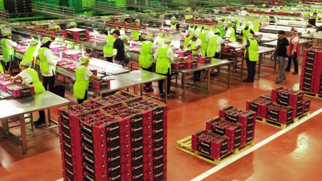 El Ciruelo participará en la Fruit Attraction 2025 