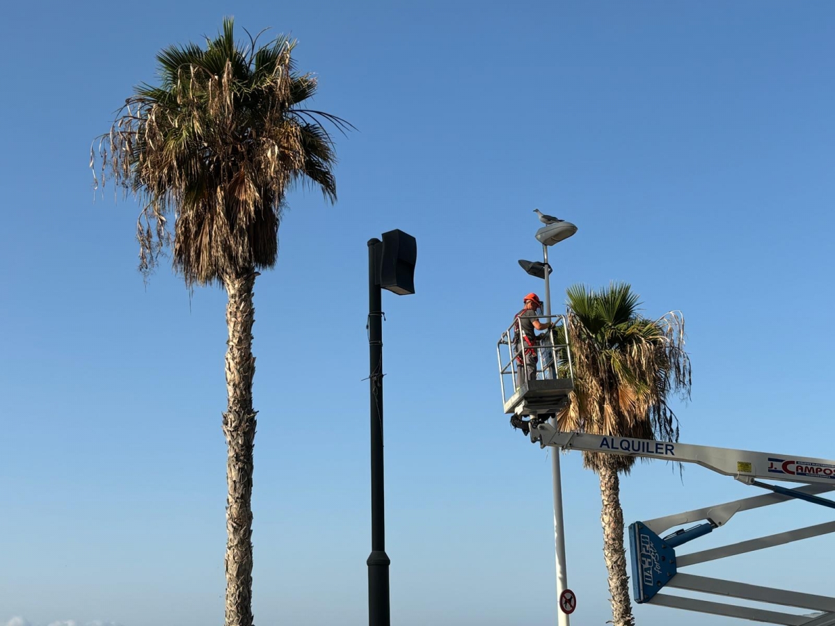 Calp adjudica el contrato del servicio de poda de arbolado por 617.947 euros