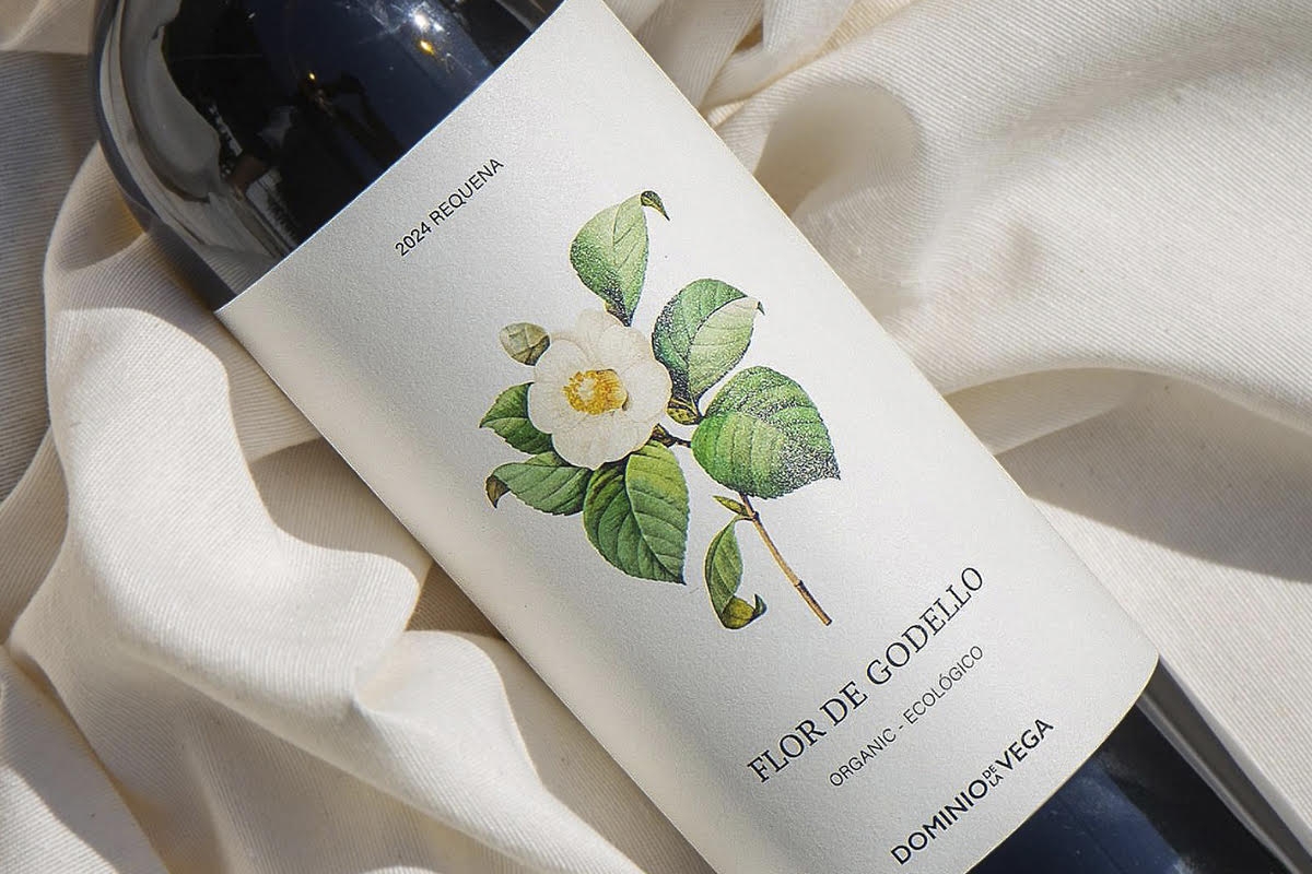 Dominio de la Vega lanza Flor de Godello, un blanco ecológico que apuesta por la singularidad