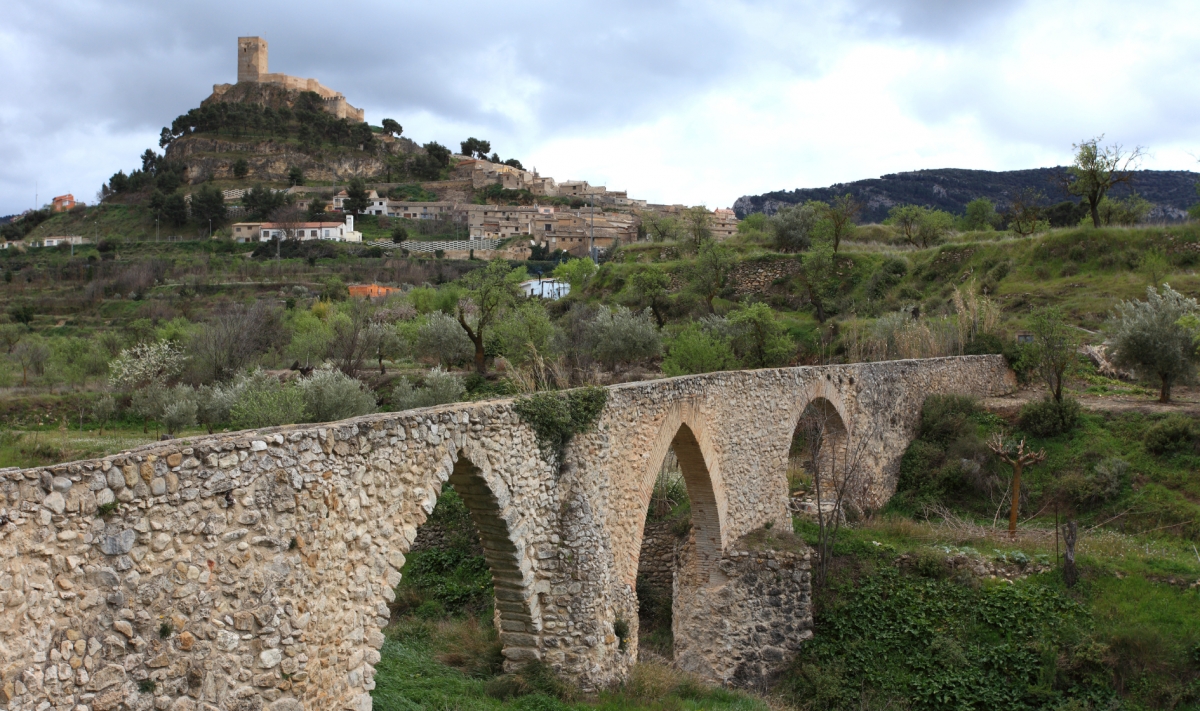 Castillo de Biar, al fondo. - Castillo de Biar, al fondo.