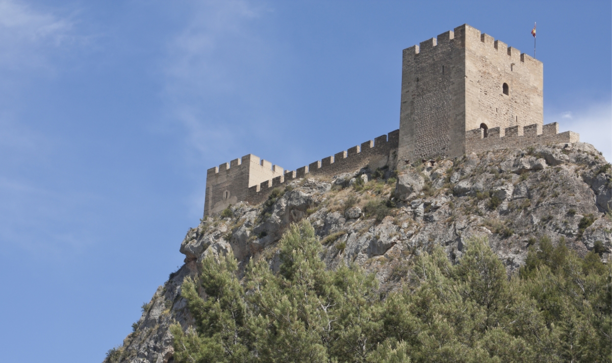 Castillo de Petrer. - Castillo de Petrer.