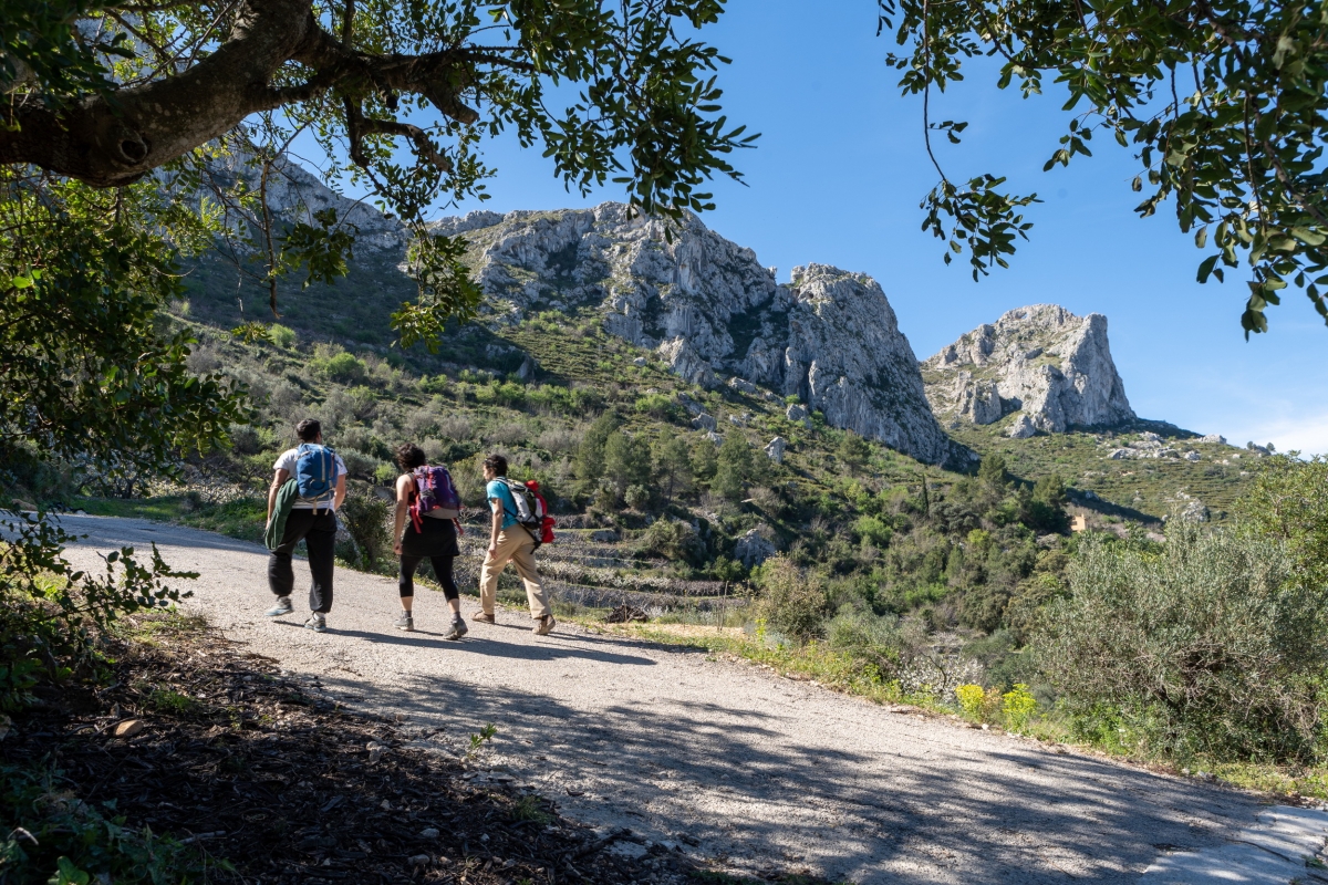 Descubriendo el patrimonio natural de Pego i les Valls