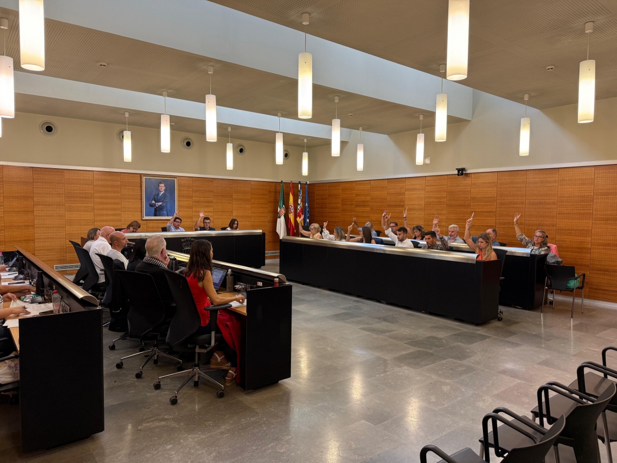 San Vicente aprueba ampliar las infraestructuras sociales: tendría un segundo centro ocupacional