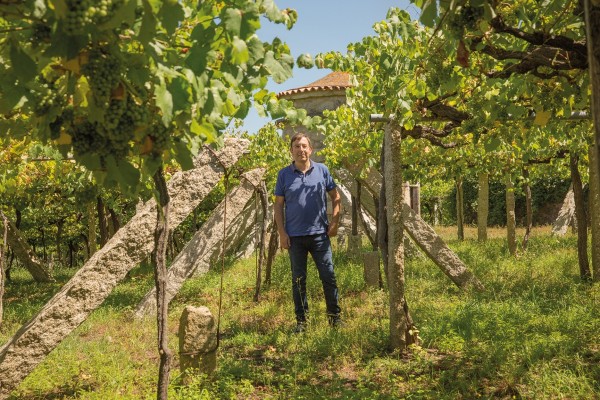 Vineando tras los andares de Eulogio Pomares