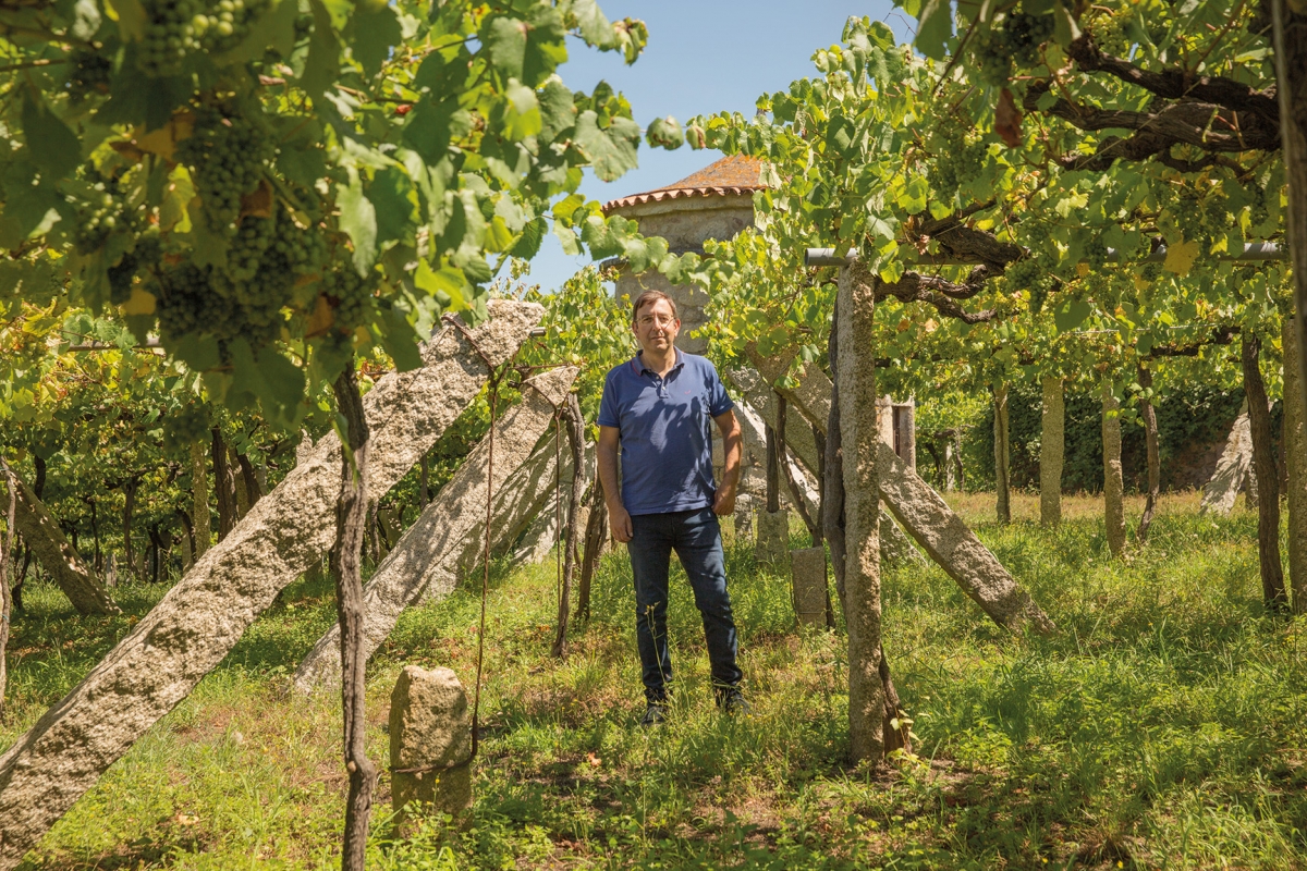 Vineando tras los andares de Eulogio Pomares