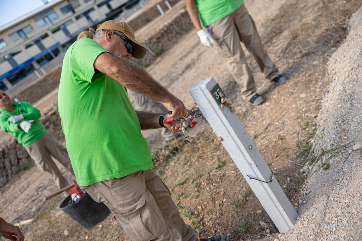 L’Alfàs ultima la adecuación de un centenar de huertos urbanos en la zona de l’Arabí 
