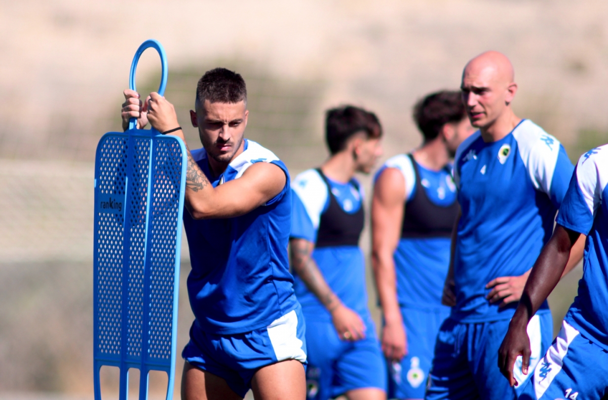 A perro flaco todo son pulgas