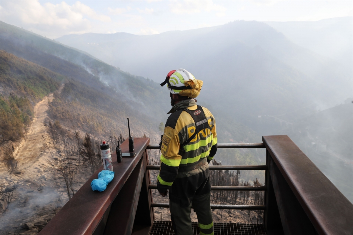Incendios: el coste de extinguir frente al valor de prevenir