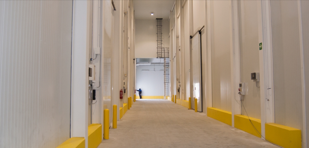 Instalaciones de Alfrisan, en San Isidro. - Foto: PLAZA Instalaciones de Alfrisan, en San Isidro.