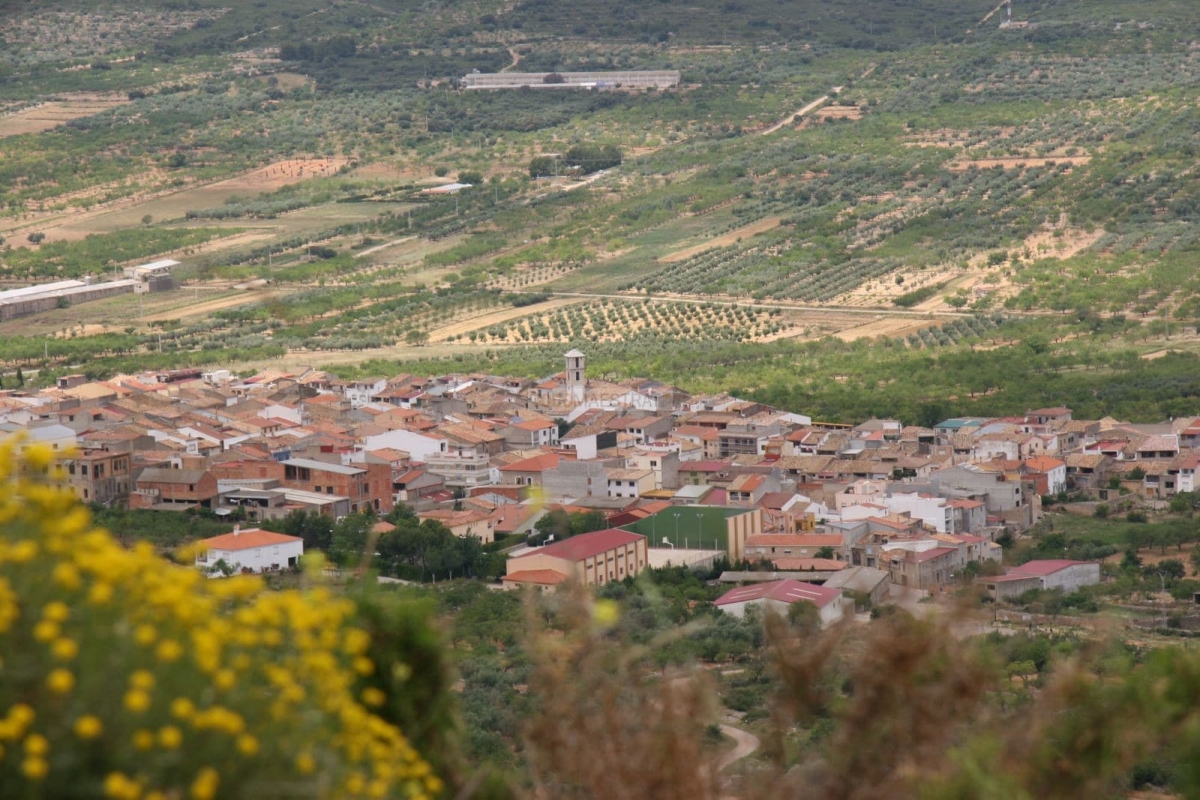 Tírig ofrece pisos sociales para alquilar por hasta 250 euros al mes para atraer población