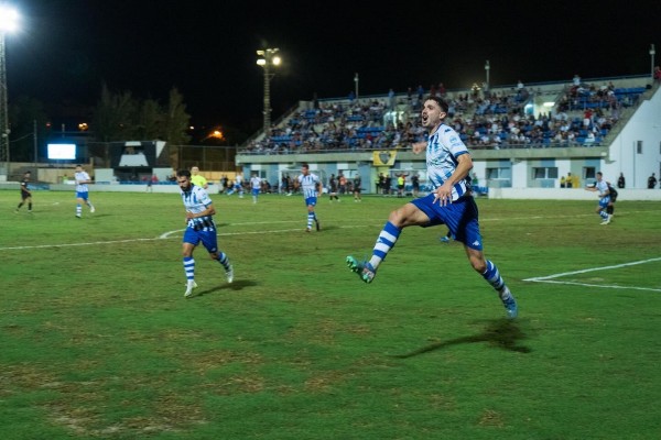 Ferni: 