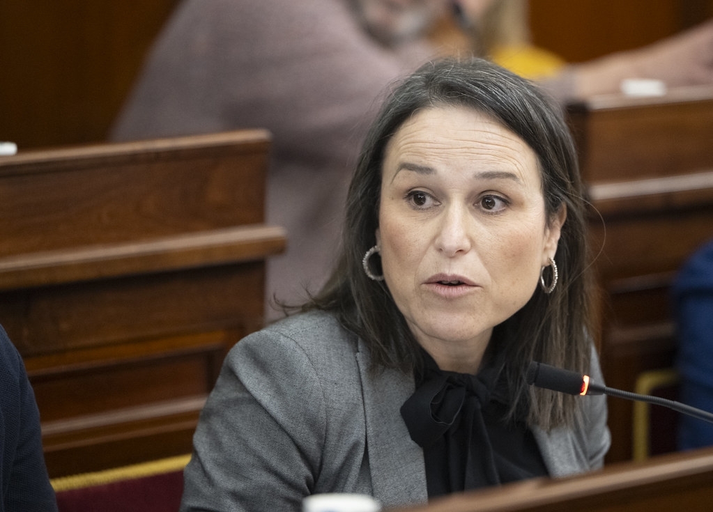 El PSPV exige al Consell que incluya al área metropolitana de Castelló en las rebajas de tarifas del transporte ferroviario