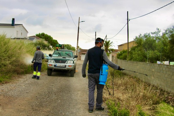 Castelló continúa con las labores de prevención y control de mosquitos de cara a las lluvias de otoño