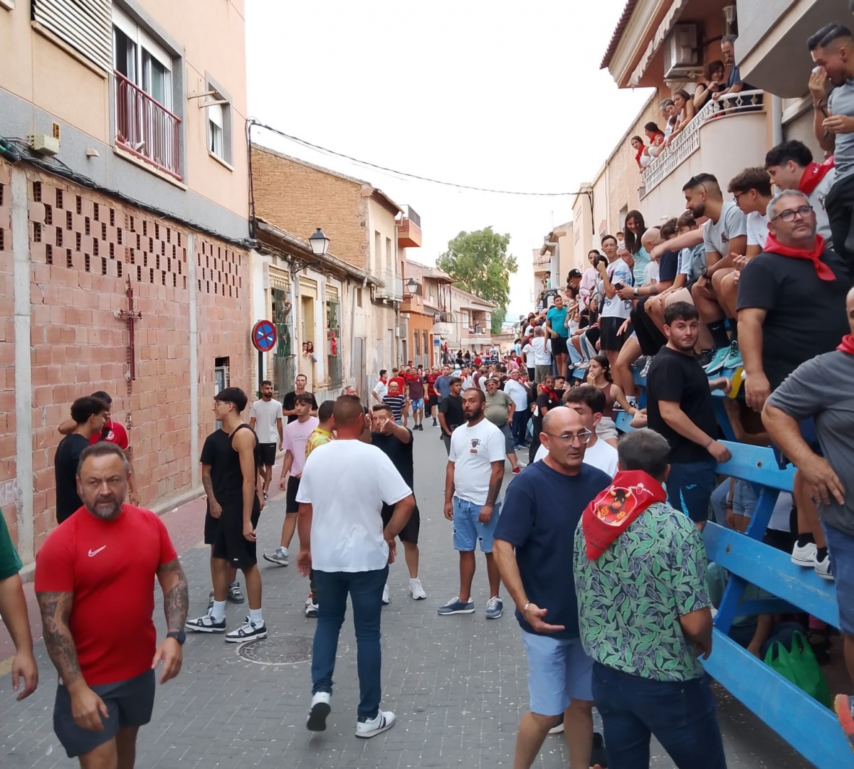 Más de un millar de personas se congregan en la tradicional suelta de reses bravas en Torreagüera