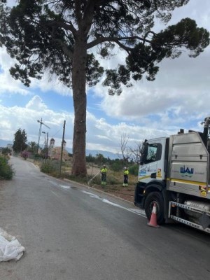Murcia protege su patrimonio natural: un nuevo riego aporta 14.000 litros para los pinos centenarios de Churra