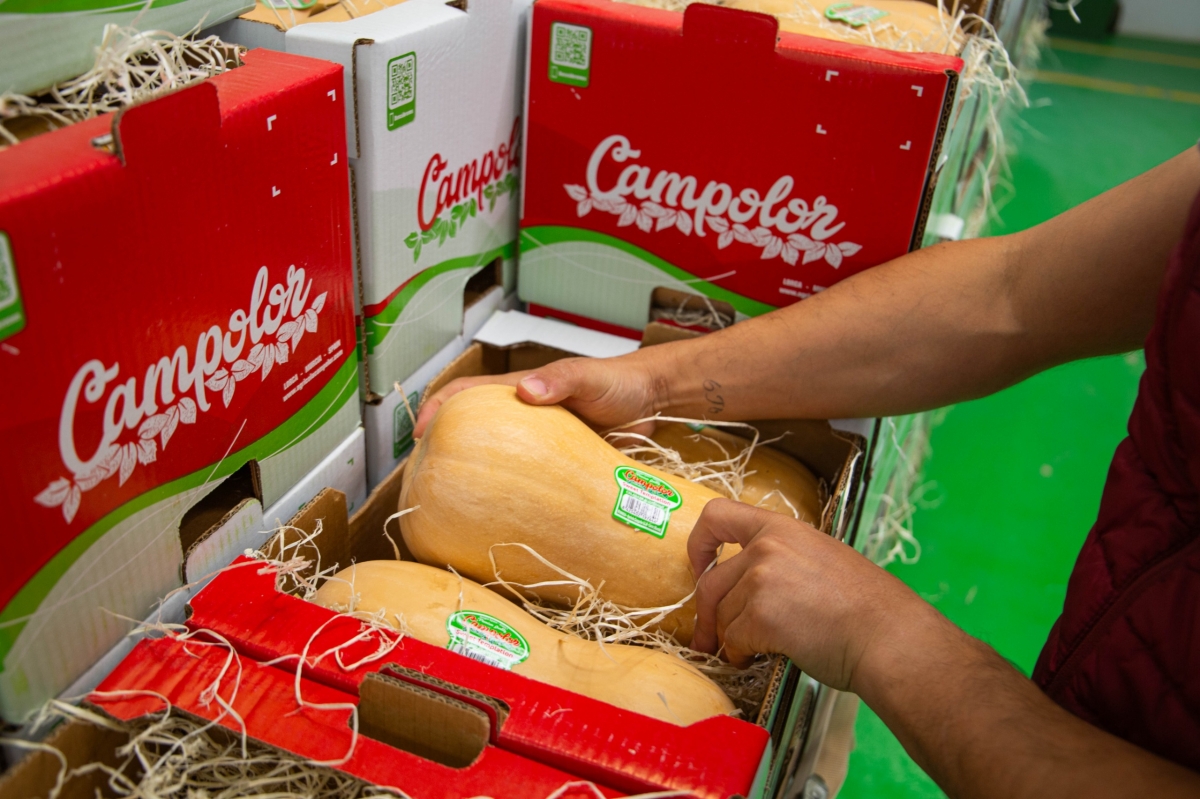  - Foto: AGRÍCOLA CAMPOLOR