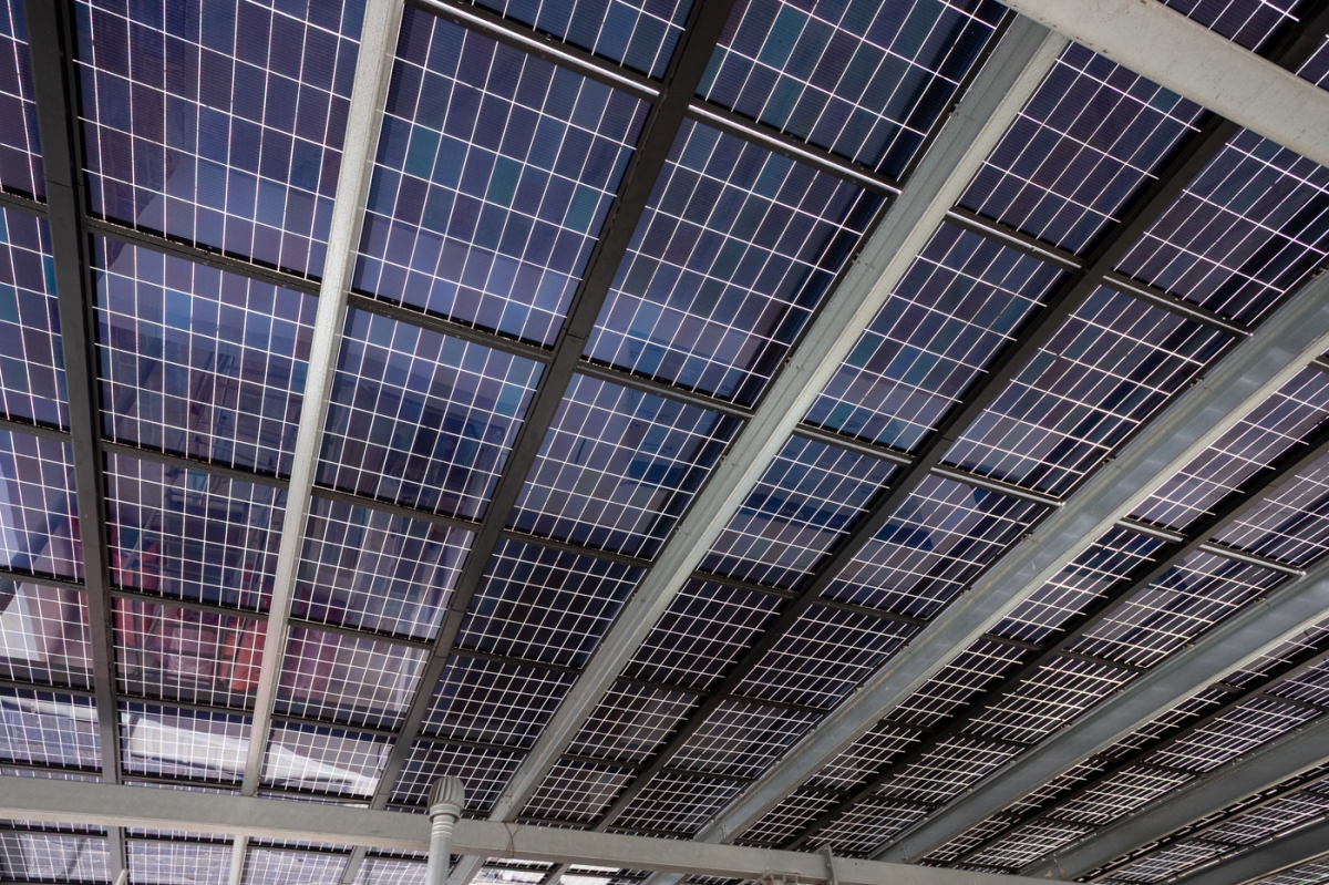  - Foto: PEPE OLIVARES