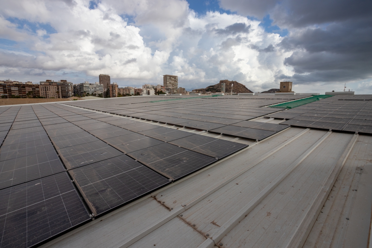  - Foto: PEPE OLIVARES