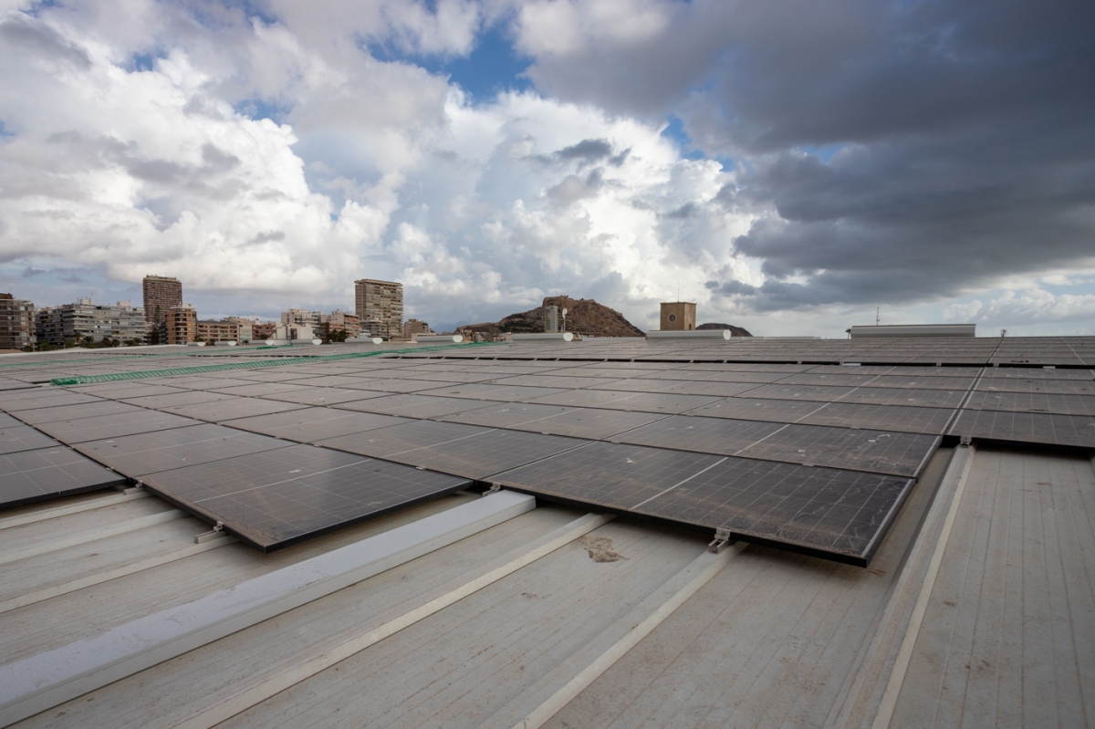  - Foto: PEPE OLIVARES