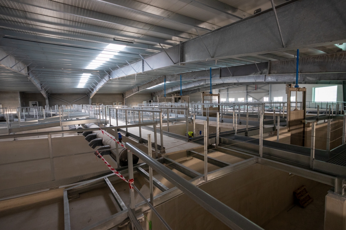  - Foto: PEPE OLIVARES