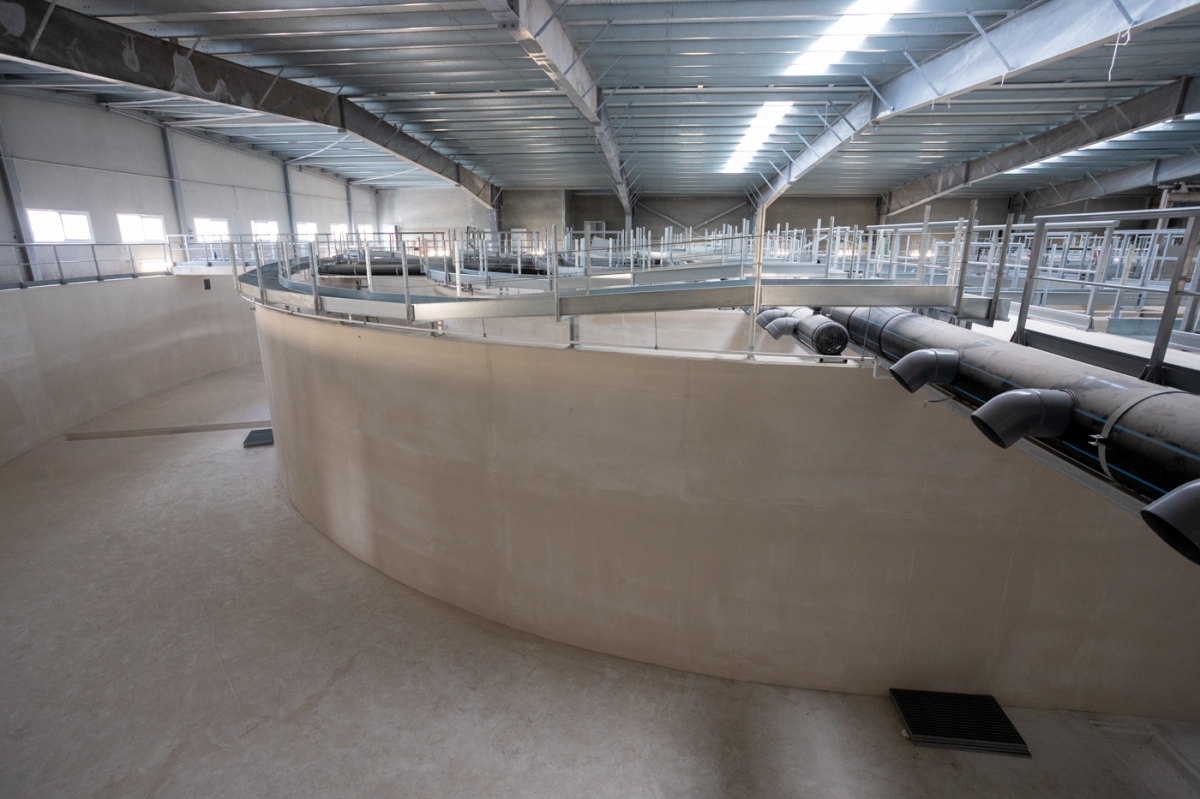  - Foto: PEPE OLIVARES