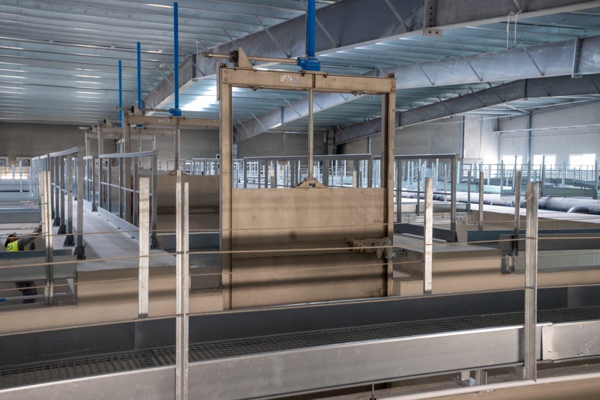  - Foto: PEPE OLIVARES