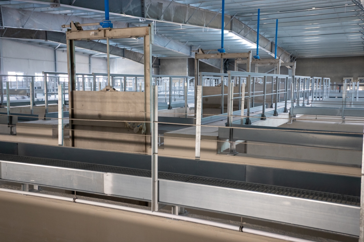  - Foto: PEPE OLIVARES