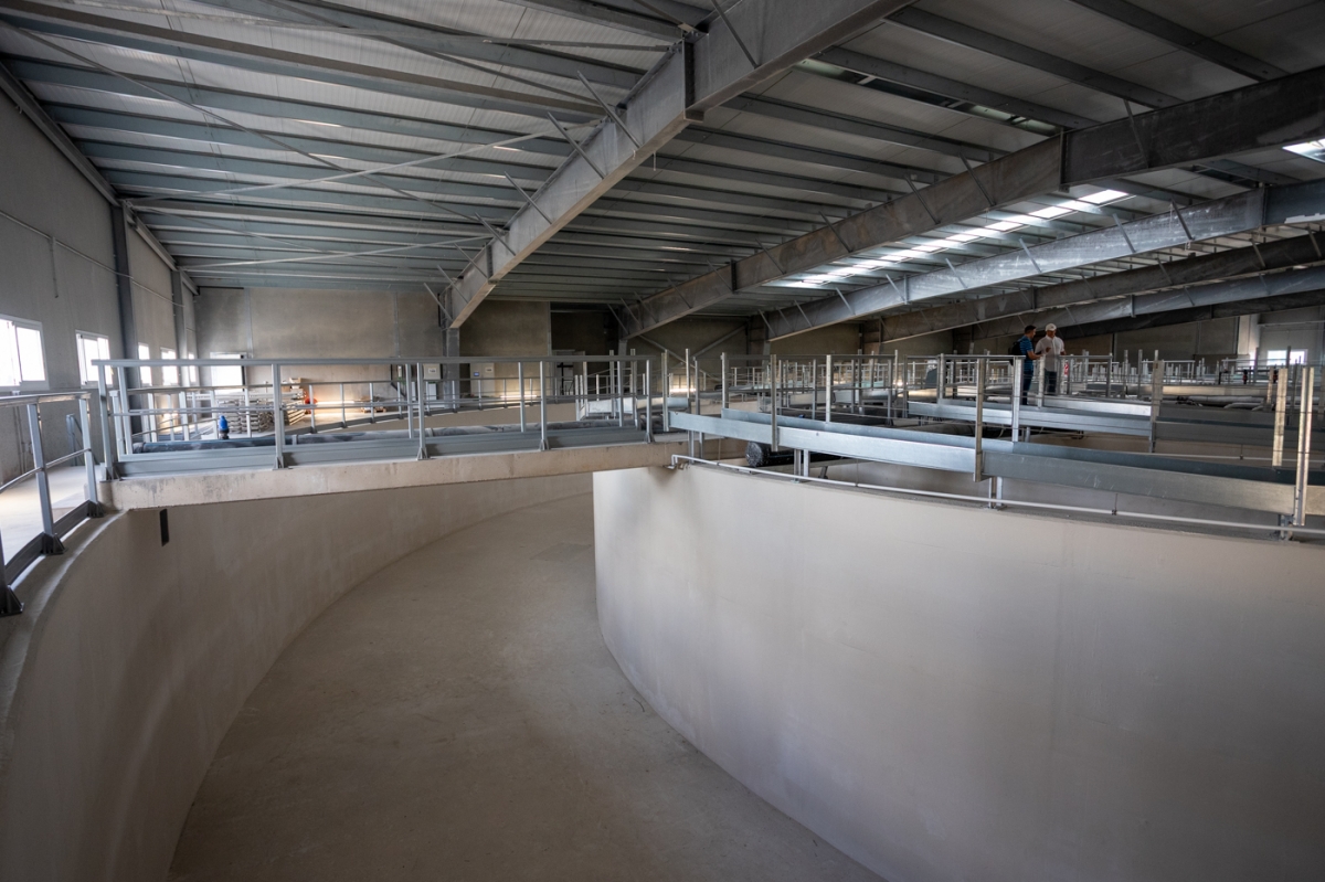  - Foto: PEPE OLIVARES