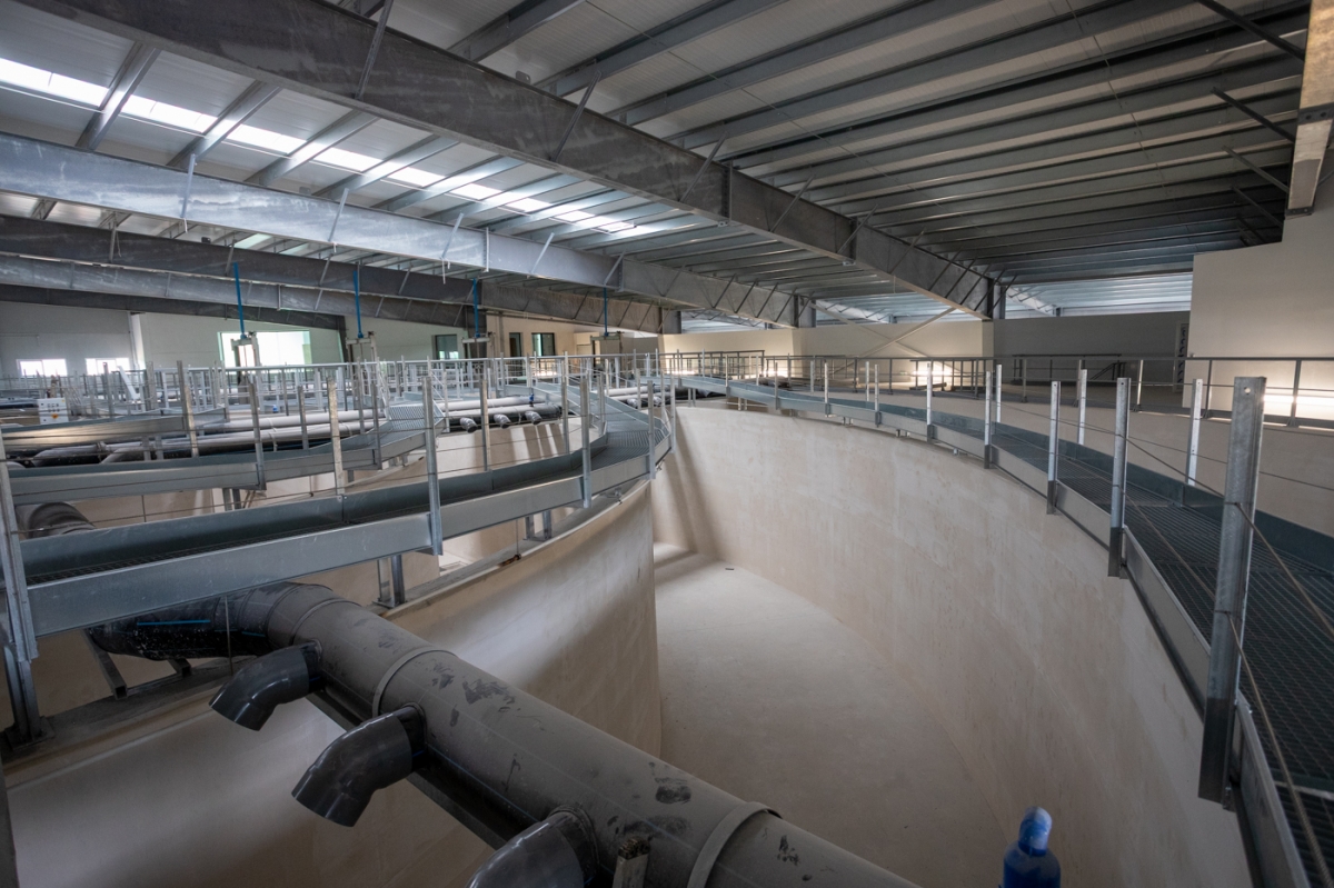  - Foto: PEPE OLIVARES