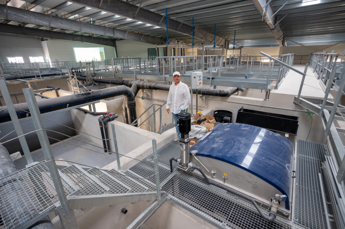 Aquaculture amplía objetivos en su piscifactoría de Alicante: de la venta 'online', a nuevas especies